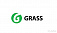  Grass ()  