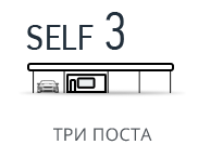 SELF-3  ��� �����