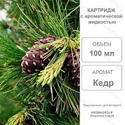 �������� ���� 100 �� Liquid / Aromagroup / 