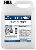 Cредство с нашатырным спиртом для мойки стёкол Glass Cleaner | Pro-Brite | 5 л 