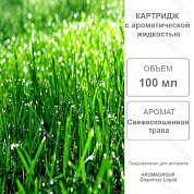 �������� �������������� ����� 100 �� Liquid / Aromagroup / 